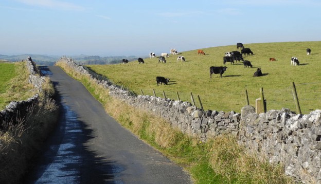 Road in the North York Moors, near Northallerton