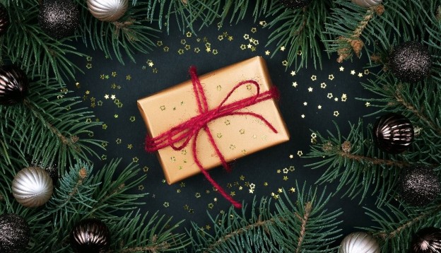 Present Under the Tree 