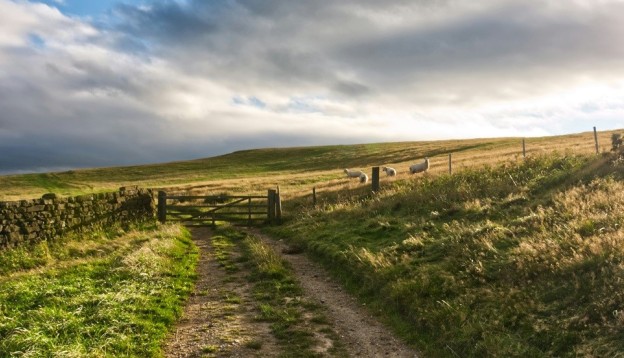 North York Moors Fields