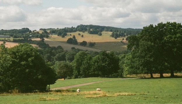 rolling fields in Wakefield